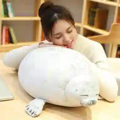 30cm40cm60cm80cm100cm