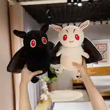 25cm30cm
