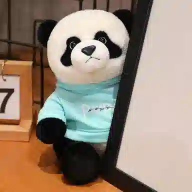 23cm