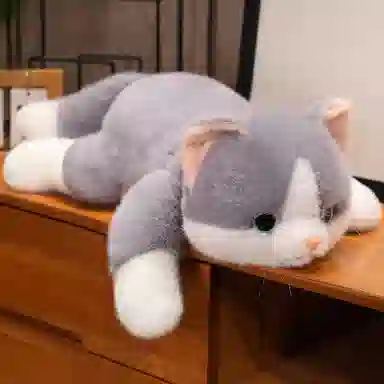 30cm45cm65cm