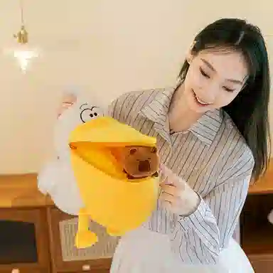 30cm50cm