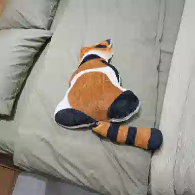 30cm35cm36cm