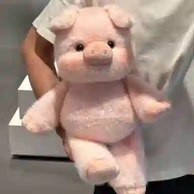 35cm45cm55cm