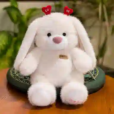 25cm