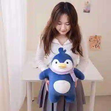 25cm40cm