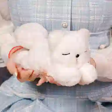 23cm