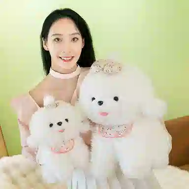 33cm45cm