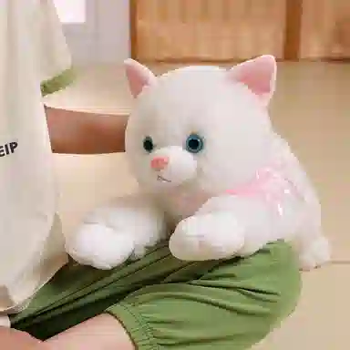 48CM