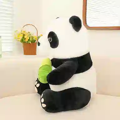 75cm25cm35cm50cm