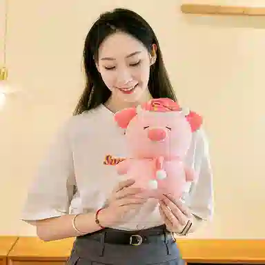 25cm38cm50cm75cm
