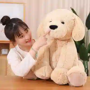 60cm80cm