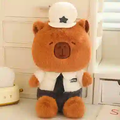 25cm