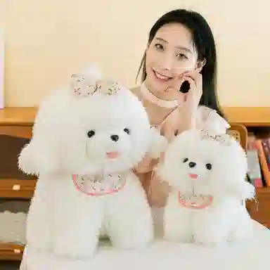 33cm45cm