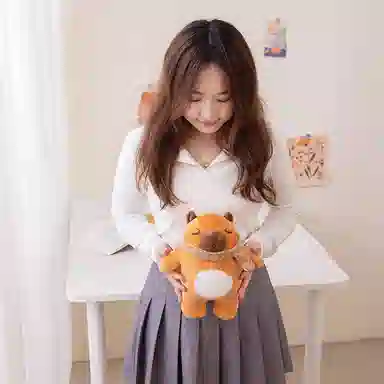 25cm40cm