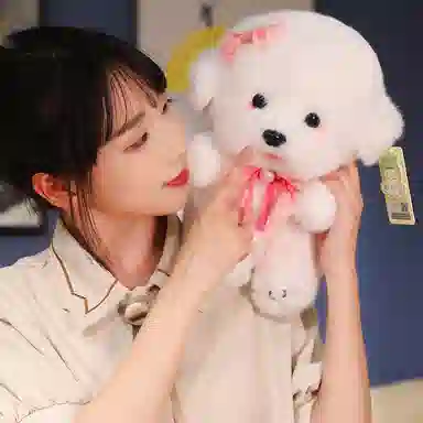 35cm50cm60cm