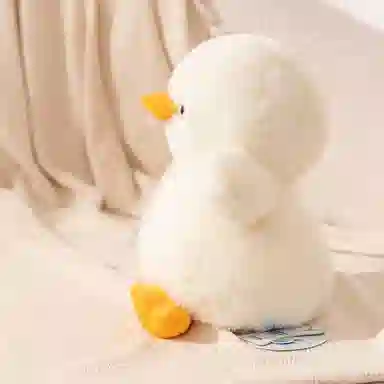 25cm32cm