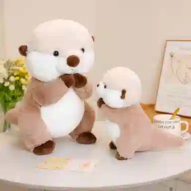 25cm40cm