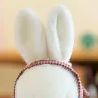 30cm