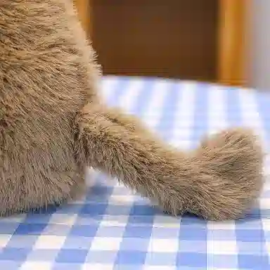 25cm33cm