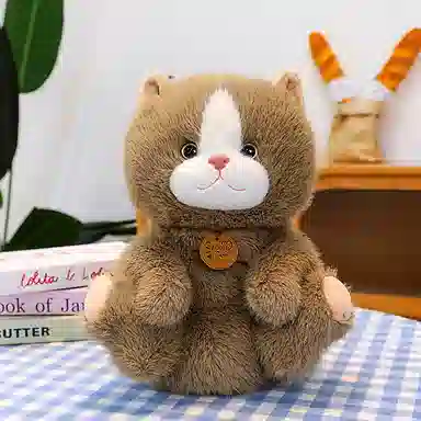 25cm33cm