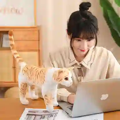 万童乐 猫咪 可爱布娃娃 玩偶 毛绒公仔