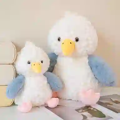 25cm35cm