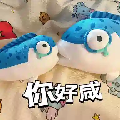 35cm50cm