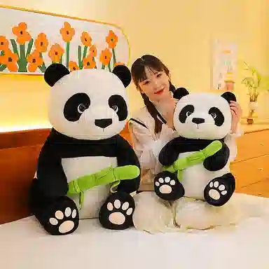 25cm35cm50cm75cm