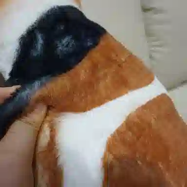 30cm35cm36cm