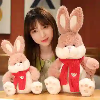 23cm