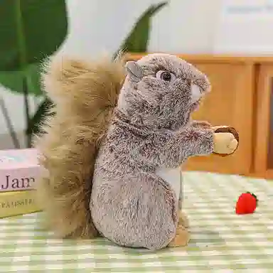 20cm25cm
