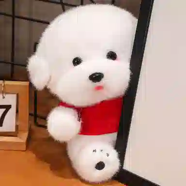 35cm50cm60cm