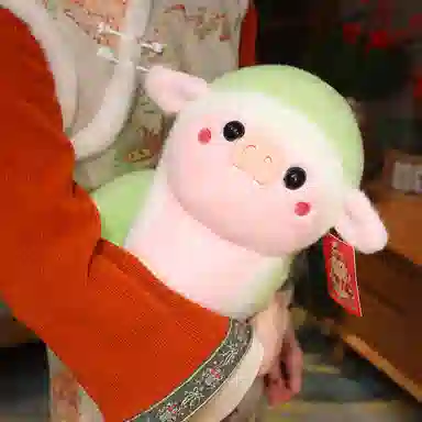 22cm30cm