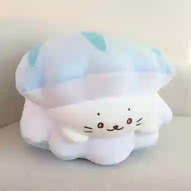 25cm30cm