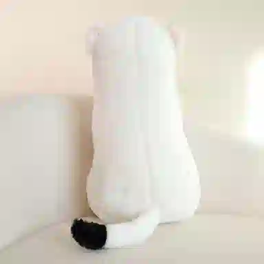 48CM