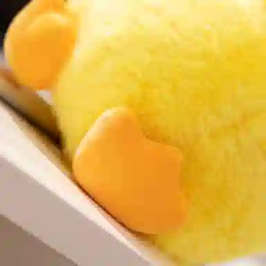25cm32cm