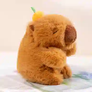 12cm30cm40cm50cm