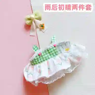20cm