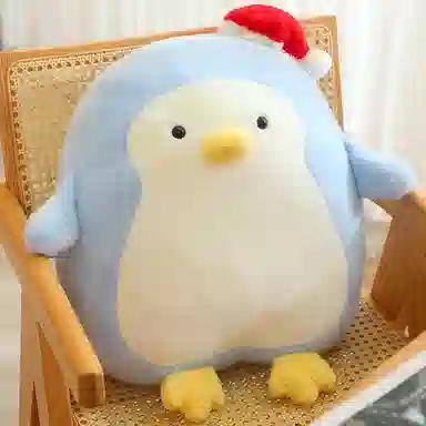 50cm