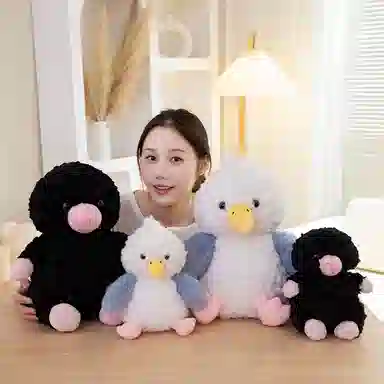 25cm35cm