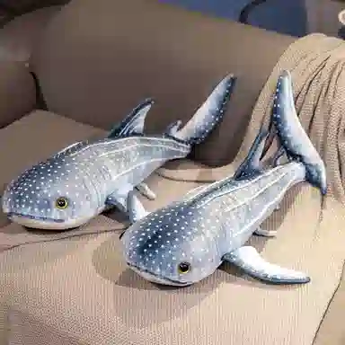 60cm