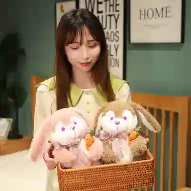 23cm