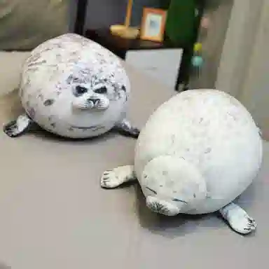 30cm40cm60cm80cm100cm