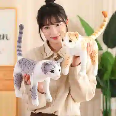 万童乐 猫咪 可爱布娃娃 玩偶 毛绒公仔