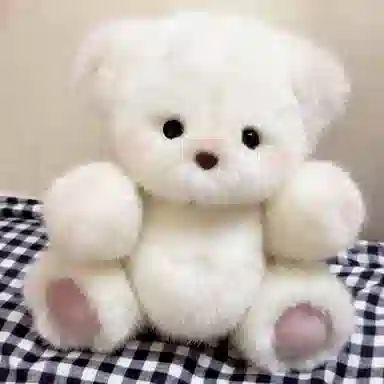 20cm