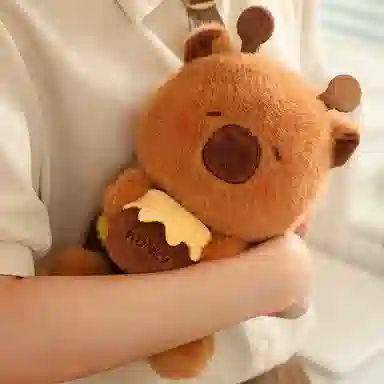 25cm