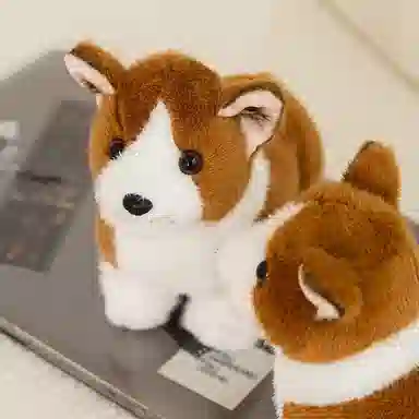 20cm25cm
