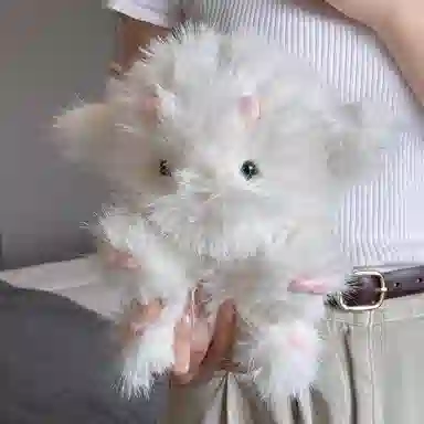 30cm