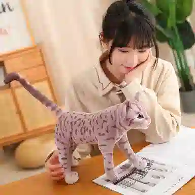 万童乐 猫咪 可爱布娃娃 玩偶 毛绒公仔