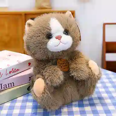 25cm33cm